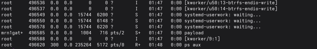 demo1-ps.png