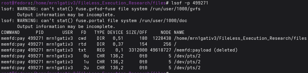 orphan-lsof.png